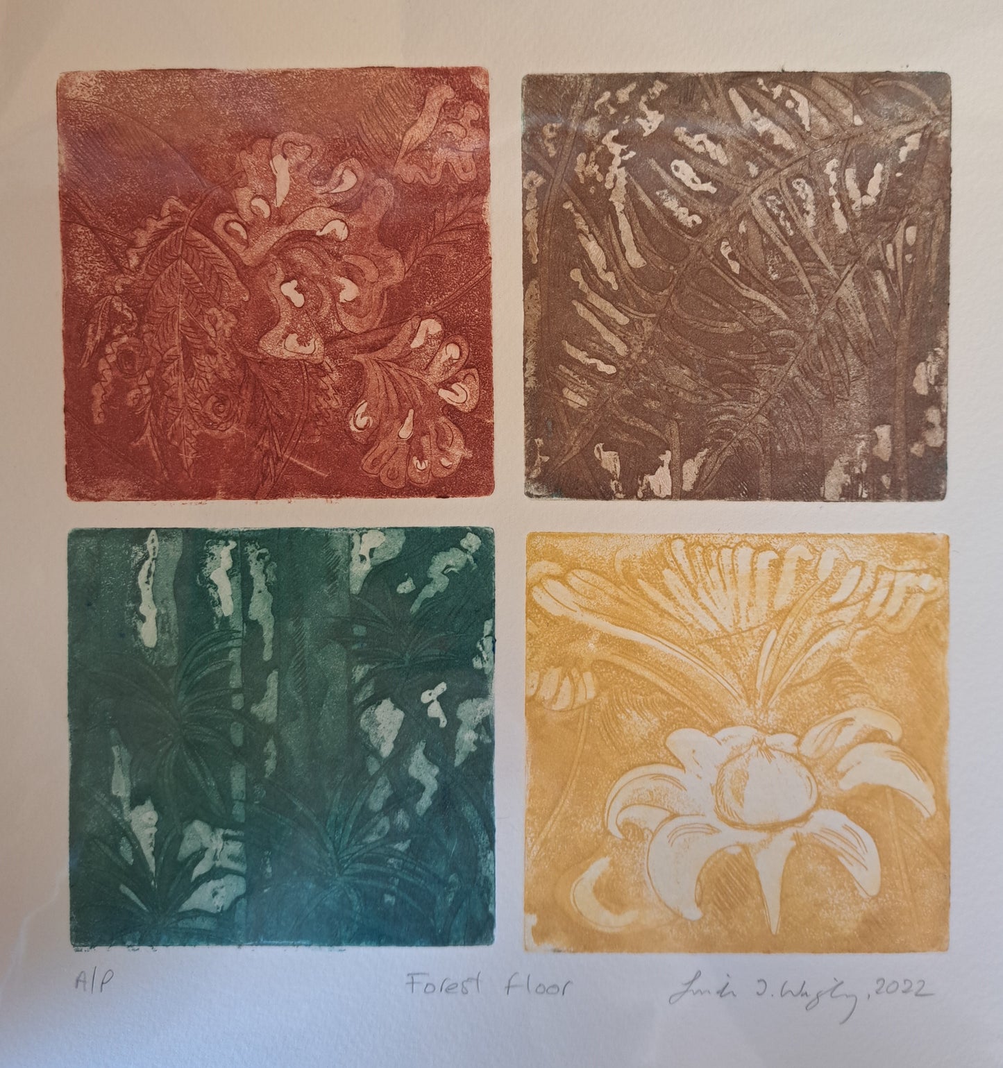 Forest Floor 4 colours